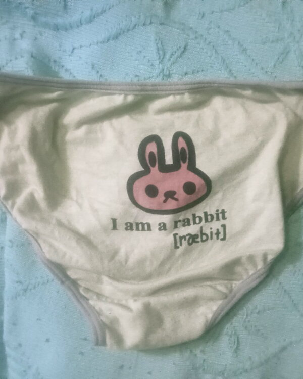 Braguitas pequeñas con conejito talla xs