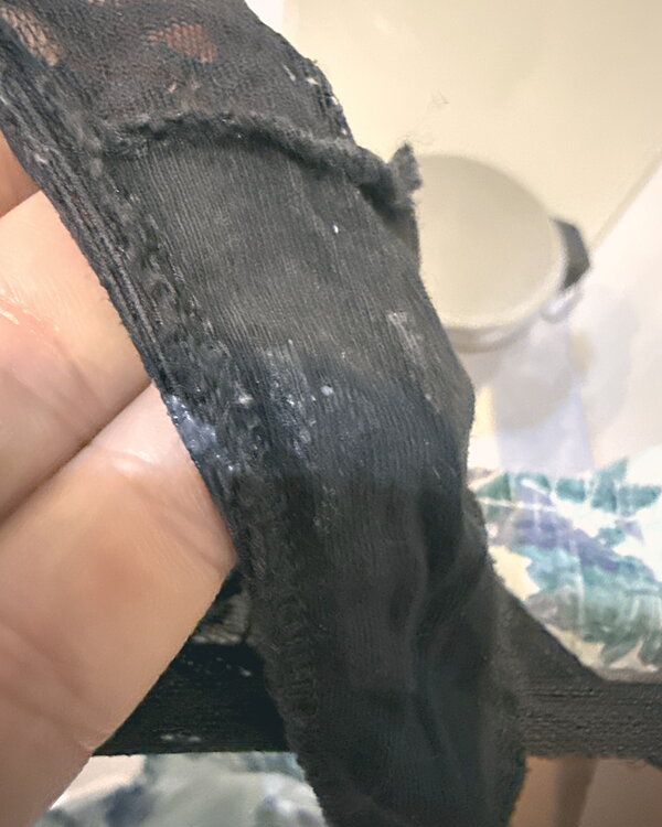 Tanga ovulando