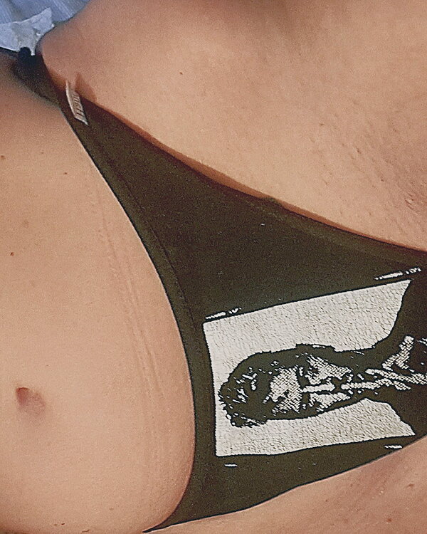Bowie t